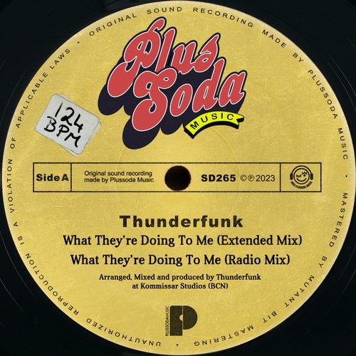 Thunderfunk - What They're Doing To Me [SD265]